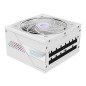 Unités d'alimentation d'énergie - GIGABYTE - AORUS ELITE P1000W ICE Alimentation - PCIe 5.0, 80 PLUS Platinum, Conception entièr