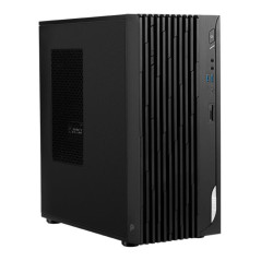 PC/postes de travail - MSI - PRO DP180 14A-825EU | Soul Rebel E-Shop