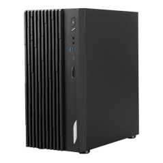 PC/postes de travail - MSI - PRO DP180 14A-825EU | Soul Rebel E-Shop