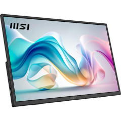 Téléviseurs et moniteurs portables - MSI - PRO MP165 E6 | Soul Rebel E-Shop