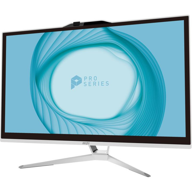 Pcs tout en un/stations de travail - MSI - Pro AP222T 13M-006EU