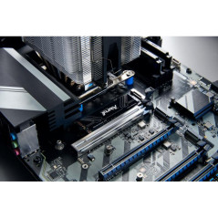 Disques SSD - Kingston Technology - 4T FURY RENEGADE G5 M.2 2280 NVMe SSD | Soul Rebel E-Shop