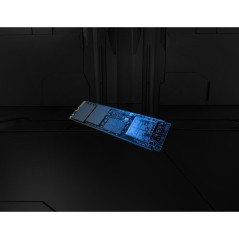 Disques SSD - Kingston Technology - 4T FURY RENEGADE G5 M.2 2280 NVMe SSD | Soul Rebel E-Shop