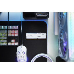 Modules de mémoire - Kingston Technology - 32GB 6000MT/s DDR5 CL30 DIMM (Kits de 2) FURY Beast White RGB EXPO | Soul Rebel E-Sho