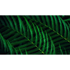Écrans plats de PC - Philips - 27B2G5200/00 | Soul Rebel E-Shop