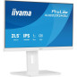 Écrans plats de PC - iiyama - XUB2293HSU-W7