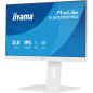 Écrans plats de PC - iiyama - XUB2293HSU-W7