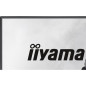 Écrans plats de PC - iiyama - G2441HSU-B1