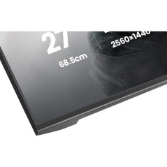 Écrans plats de PC - iiyama - GB2741QSU-B1 | Soul Rebel E-Shop