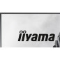 Écrans plats de PC - iiyama - GB2741QSU-B1