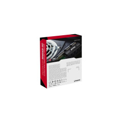 Disques SSD - Kingston Technology - 1000G RENEGADE PCIe 4.0 NVMe SSD W/ Radiateur de dissipation thermique | Soul Rebel E-Shop