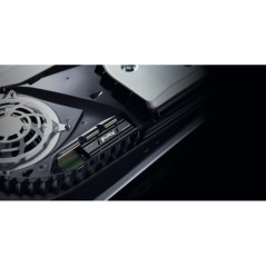 Disques SSD - Kingston Technology - 1000G RENEGADE PCIe 4.0 NVMe SSD W/ Radiateur de dissipation thermique | Soul Rebel E-Shop