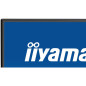 Écrans plats de PC - iiyama - X2792QSU-B1