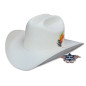 SAS_ARIZONA - Chapeau de paille mexicain