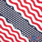SAS_BANDANA-13 - USA 2 - Le bandana en 100% coton, avec... (Lot de 12)