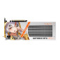 GIGABYTE AORUS GeForce RTX 5060 ARI 8G Carte Graphique