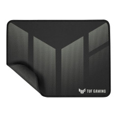 ASUS TUF Gaming P1