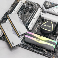 XPG LANCER RGB module de m