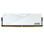 XPG LANCER module de m