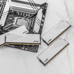 XPG LANCER module de m