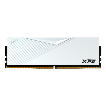 XPG LANCER module de m
