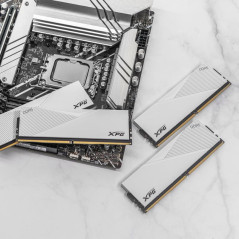 XPG LANCER module de m