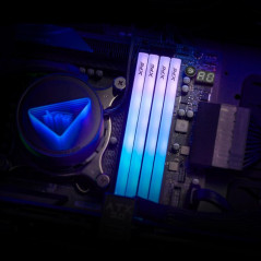 XPG LANCER BLADE RGB v module de m