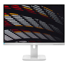 Écrans plats de PC - AOC - 24P1/GR | Soul Rebel E-Shop