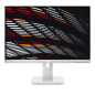 Écrans plats de PC - AOC - 24P1/GR