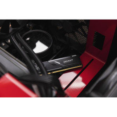 Modules de mémoire - Kingston Technology - 16Go 3600MT/s DDR4 CL18 DIMM FURY Beast Black | Soul Rebel E-Shop
