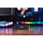 Disques SSD - Kingston Technology - 1000G FURY RENEGADE M.2 2280 NVMe SSD