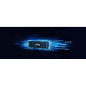 Disques SSD - Kingston Technology - 1000G FURY RENEGADE M.2 2280 NVMe SSD