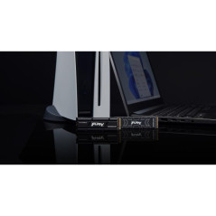 Disques SSD - Kingston Technology - 4000G FURY RENEGADE M.2 2280 NVMe SSD | Soul Rebel E-Shop