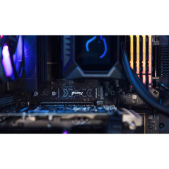Disques SSD - Kingston Technology - 4000G FURY RENEGADE M.2 2280 NVMe SSD | Soul Rebel E-Shop