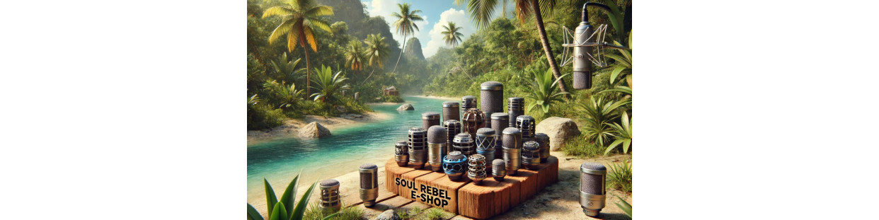 Microphone Capsules: Professional-Quality Sound | Soul Rebel Online Shop