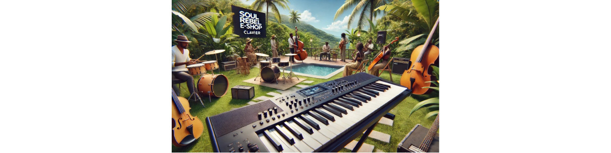 Claviers : pianos, synthétiseurs et claviers numériques | Boutique en ligne Soul Rebel